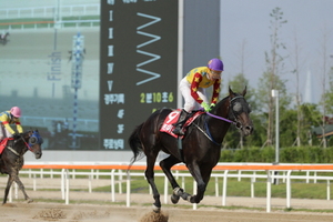 [NSP PHOTO]농림축산식품부장관배, 다크호스 록초이스 우승…역대급 반전