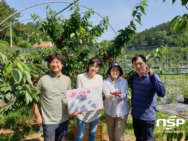 NSP통신-영덕키토산체리농장 강동국 대표가 체리나무 한 그루에서 나는 열매를 매년 영덕군지역사회보장협의체에 기증하기로 했다. (영덕군)