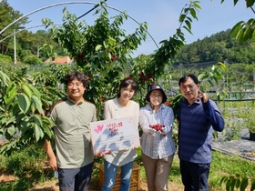 [NSP PHOTO]영덕키토산체리농장 강동국 대표, 체리나무 한 그루 열매 매년 기증