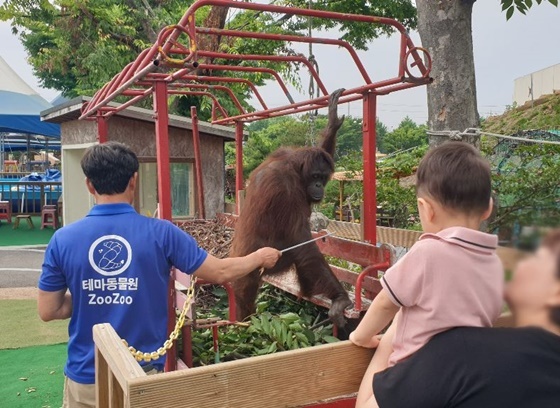 NSP통신-지난 21일 JT캐피탈의 아주 행복한 문화체험 현장사진. (JT캐피탈)