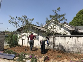 [NSP PHOTO]곡성군,  녹색자금 나눔숲 조성 박차