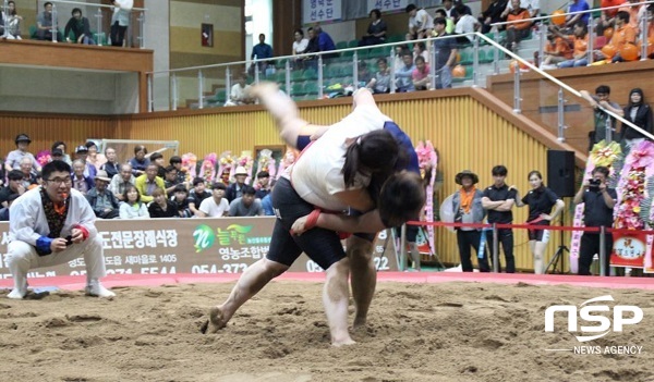 NSP통신-무궁화금(80kg이하)에서 1위로 씨름왕을 차지한 강현숙(안동소속) 선수와 2위를 차지한 황순남(영천소속) 선수가 최종 결승전(힌색 T를 입은 강현숙)을 치루고 있다, (김도성 기자)