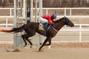 [NSP PHOTO]한국마사회 렛츠런파크 서울, 1등급 경주마 1200m 대결 펼쳐