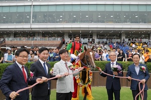 [NSP PHOTO]두바이월드컵 결승진출한 경주마 돌콩, 국내 무대도 접수