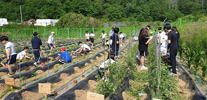 [NSP PHOTO]구미시, 밭 조성 및 원예활동 프로그램 어린이 농부학교 운영