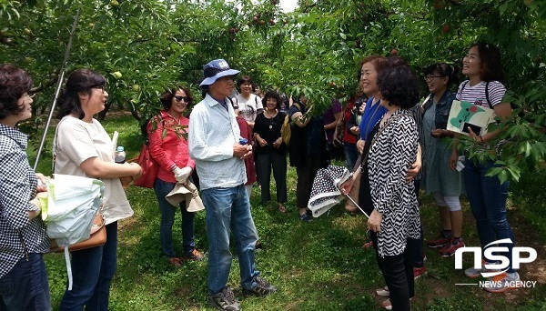 NSP통신-경산시농업기술센터가 지역 우수 농산물 홍보를 위해 도시민 대상 농촌관광 체험프로그램을 운영할 계획이다. (경산시)