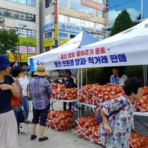 [NSP PHOTO]용인시, 양파 직거래 판매장터 열어