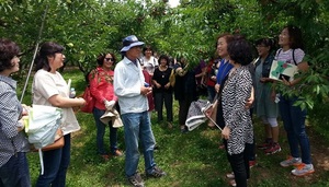 [NSP PHOTO]경산시농업기술센터, 도·농상생 관광벨트 프로젝트 참가자 모집