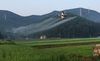 [NSP PHOTO]보령시, 벼 병해충 항공·공동방제 추진