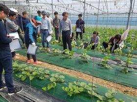 [NSP PHOTO]곡성군,  수요자 맞춤형 농업 교육 호응