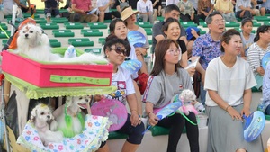 [NSP PHOTO]청도군, 2019 반려동물을 위한 콘서트 청도야외공연장서 개최