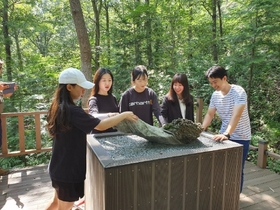 [NSP PHOTO]보성군, 제암산 자연휴양림 달팽이 형상 수석 전시 큰 호응