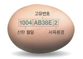 [NSP PHOTO]경북도, 달걀 껍데기 산란일자 표시 의무 본격 시행