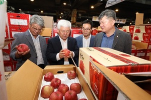 [NSP PHOTO]무주 반딧불사과, 서울 가락시장서 경매…50톤 출하