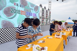 [NSP PHOTO]영암군, 무화과 축제 준비 한창