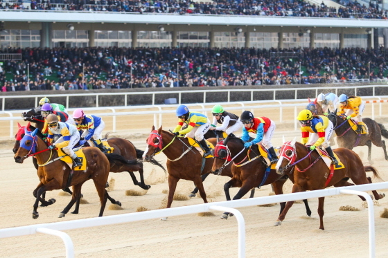 NSP통신-경마 경주 시행 모습. (한국마사회)