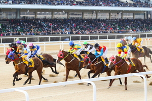 [NSP PHOTO]렛츠런파크 서울, 1600m 마일경마 경주 최초 시행