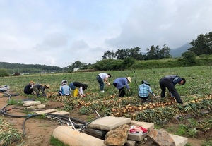 [NSP PHOTO]나주시,  양파 조리 교육 참여자 모집