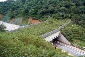 [NSP PHOTO]장흥군,  관산 솔치재 생태통로 조성사업 가속도