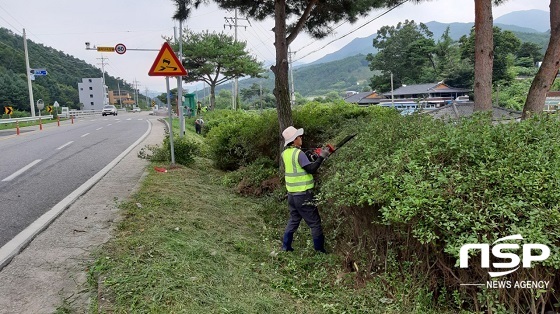 [NSP PHOTO]장수군, 추석맞이 주요 도로변 산림환경정비