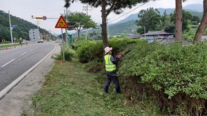 [NSP PHOTO]장수군, 추석맞이 주요 도로변 산림환경정비