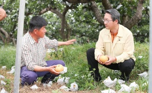 [NSP PHOTO]태풍 링링 영향, 경기도 사망 1명, 시설·농작물 등 피해 심각