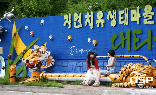 NSP통신-영양군은 경상북도와 경상북도문화관광공사에서 시행하는 관광서비스 환경개선 사업에 공모해 선정된 2개소에 총 사업비 4억원(도비 2억원)을 확보하며 영양 관광 이미지 개선에 나섰다. (영양군)