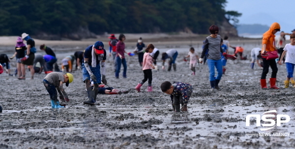 NSP통신-지난해 열린 여수여자만 갯벌노을 체험행사에서 가족 단위 참여자들이 바지락 캐기 체험을 즐기고 있다. (여수시)