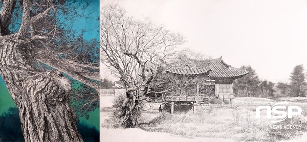 NSP통신-이상수 작가 작품(왼쪽, 오봉산 주사암 소나무, 오른쪽, 경주 서출지) (권민수 기자)