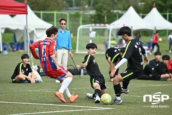 NSP통신-최근 열린 2019 전남 학생 스포츠문화축제 한마당. (전남교육청)