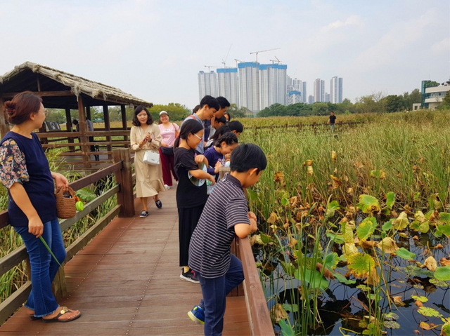 NSP통신-갈대습지로 떠나는 수학(Math)여행 한마당 축제 모습. (안산환경재단)