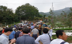 [NSP PHOTO]안동시 농업기술센터,  2019년 과수 시범사업 현장 평가회 개최