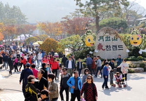 [NSP PHOTO]영암군, 월출산 기찬랜드 국화축제 오는 26일 팡파르