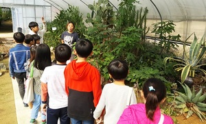 [NSP PHOTO]담양군 드림스타트, 가을맞이 자연학교 체험