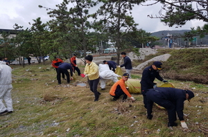 [NSP PHOTO]포항 해경, 경주시와  합동 해안가 정화활동 실시