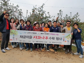 [NSP PHOTO]군포시 재궁동, 청풍면 사과나무 수확