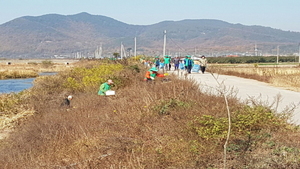 [NSP PHOTO]의성군 금성면, 클린 코리아 캠페인 실시