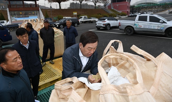 NSP통신-▲예산군이 지난 여름 태풍 피해입은 벼를 전량 매입한다. (예산군)