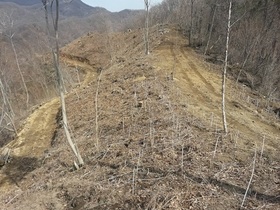 [NSP PHOTO]장수군, 산림작물생산단지조성 공모사업 선정