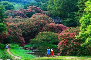 [NSP PHOTO]담양군, 2019 담양관광사진 공모전 당선작 발표