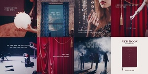 [NSP PHOTO]AOA 새 앨범 NEW MOON 프리퀄 스토리 카드 2편 공개