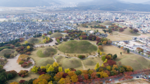 [NSP PHOTO]경주시, 사적지 무료개방 특별이벤트 실시