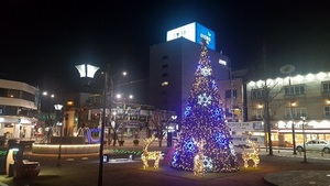 [NSP PHOTO]군산시, 주요 관광지에 야간 경관조명 설치