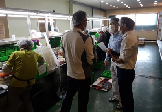 NSP통신-▲논산토마토가 J－GAP 단체인증을 취득했다. (논산시)