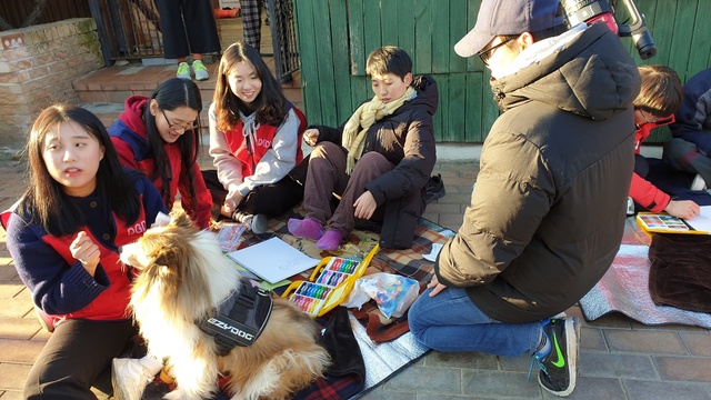 NSP통신-둥글개봉사단이 내추럴코어 후원으로 사료 2톤을 용인 양지 행강집, 충남 금산 심바하우스에 전달했다. (둥글개봉사단)