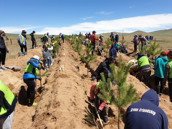 NSP통신-지난 6월 수원시·아주대·휴먼몽골사업단 관계자, 몽골 현지 관계자들이 수원시민의 숲에 나무를 심고 있다. (수원시)