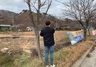 [NSP PHOTO]홍성군, 가로수·공원 내 불법광고물 집중 정비