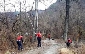 [NSP PHOTO]담양군, 갈색날개매미충 월동란 방제 총력