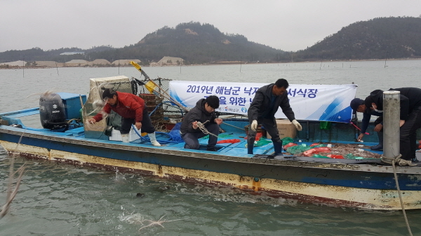 NSP통신-낙지산란 황산 성산어촌계 (해남군)