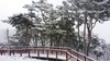 [NSP PHOTO]예산군, 봉수산자연휴양림 안전점검 실시